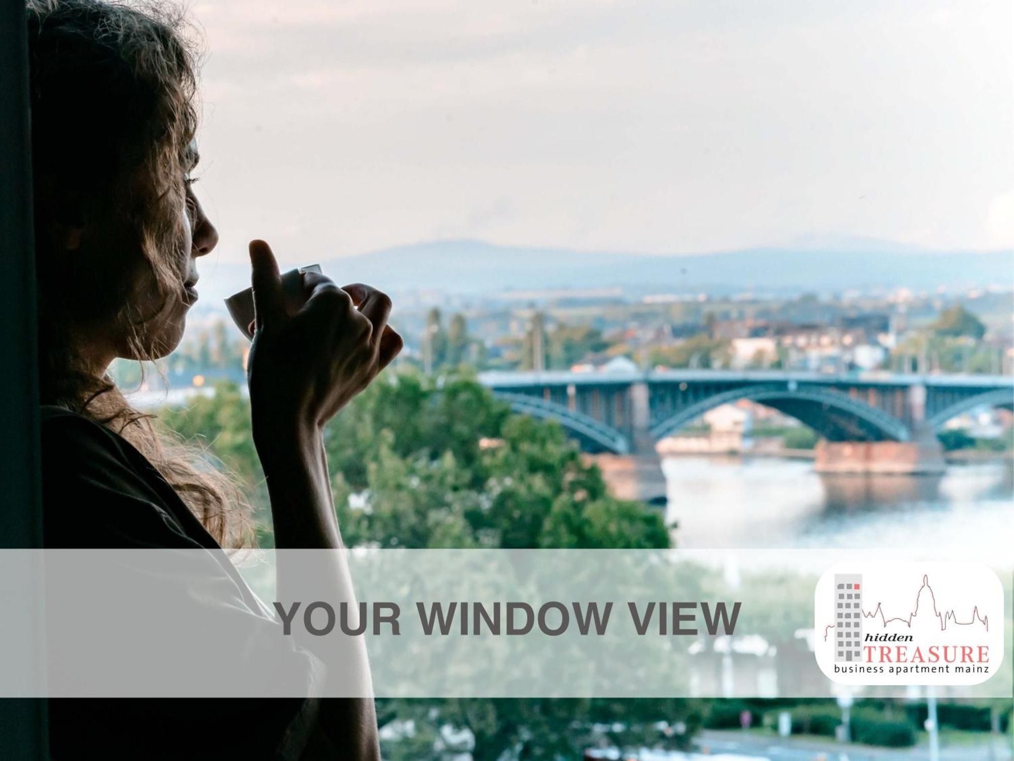 Hidden Treasure Business Apartment Mainz - Fantastic Rhine View In Center Of Mainz Old Town Εξωτερικό φωτογραφία
