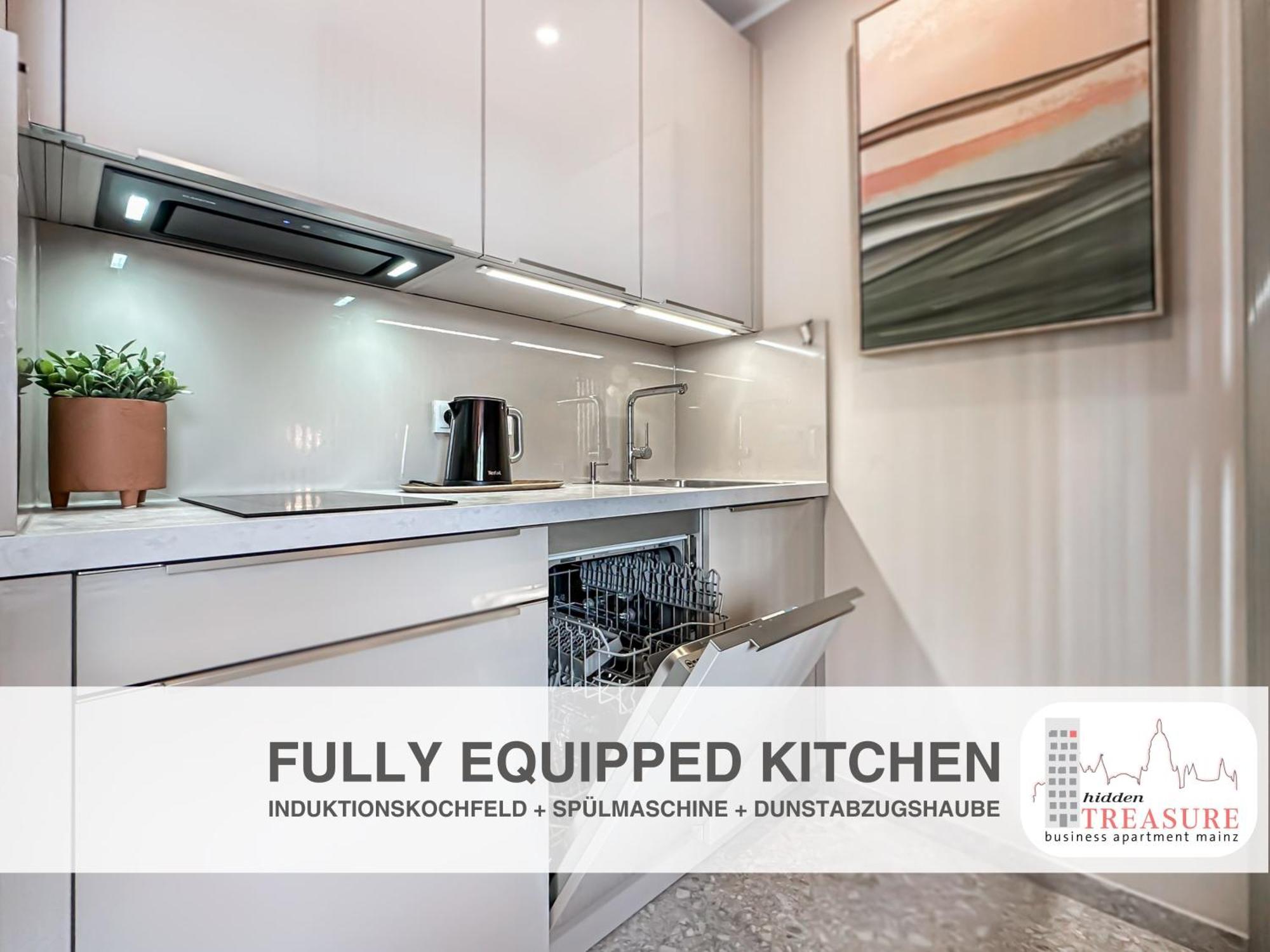 Hidden Treasure Business Apartment Mainz - Fantastic Rhine View In Center Of Mainz Old Town Εξωτερικό φωτογραφία