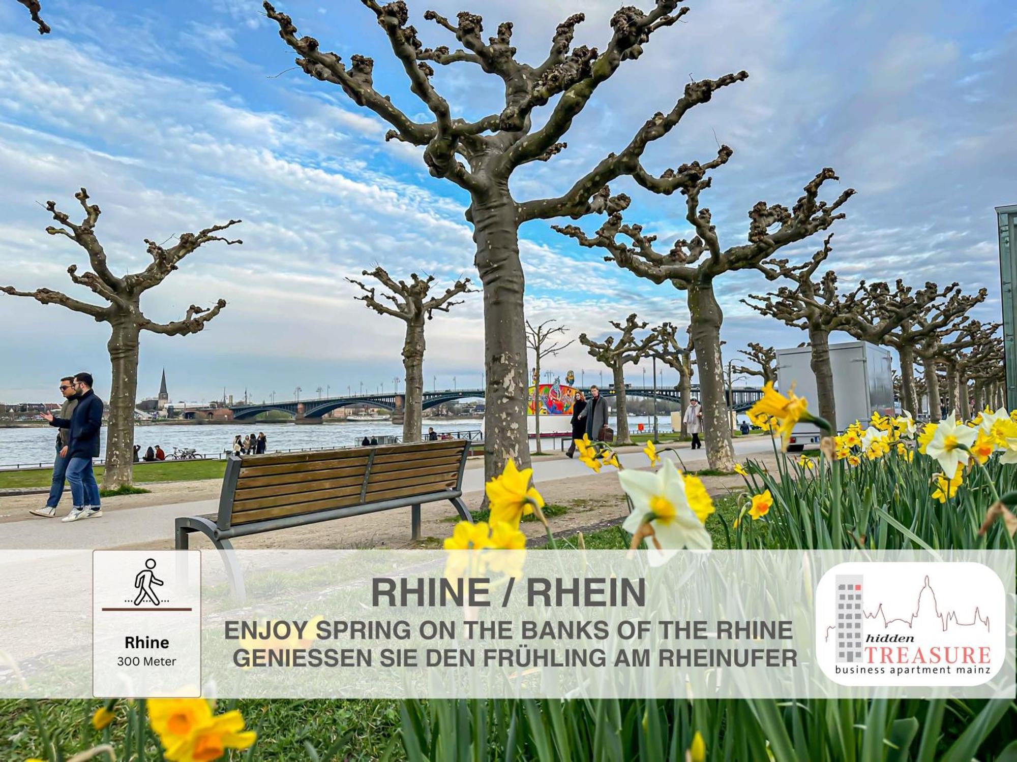 Hidden Treasure Business Apartment Mainz - Fantastic Rhine View In Center Of Mainz Old Town Εξωτερικό φωτογραφία