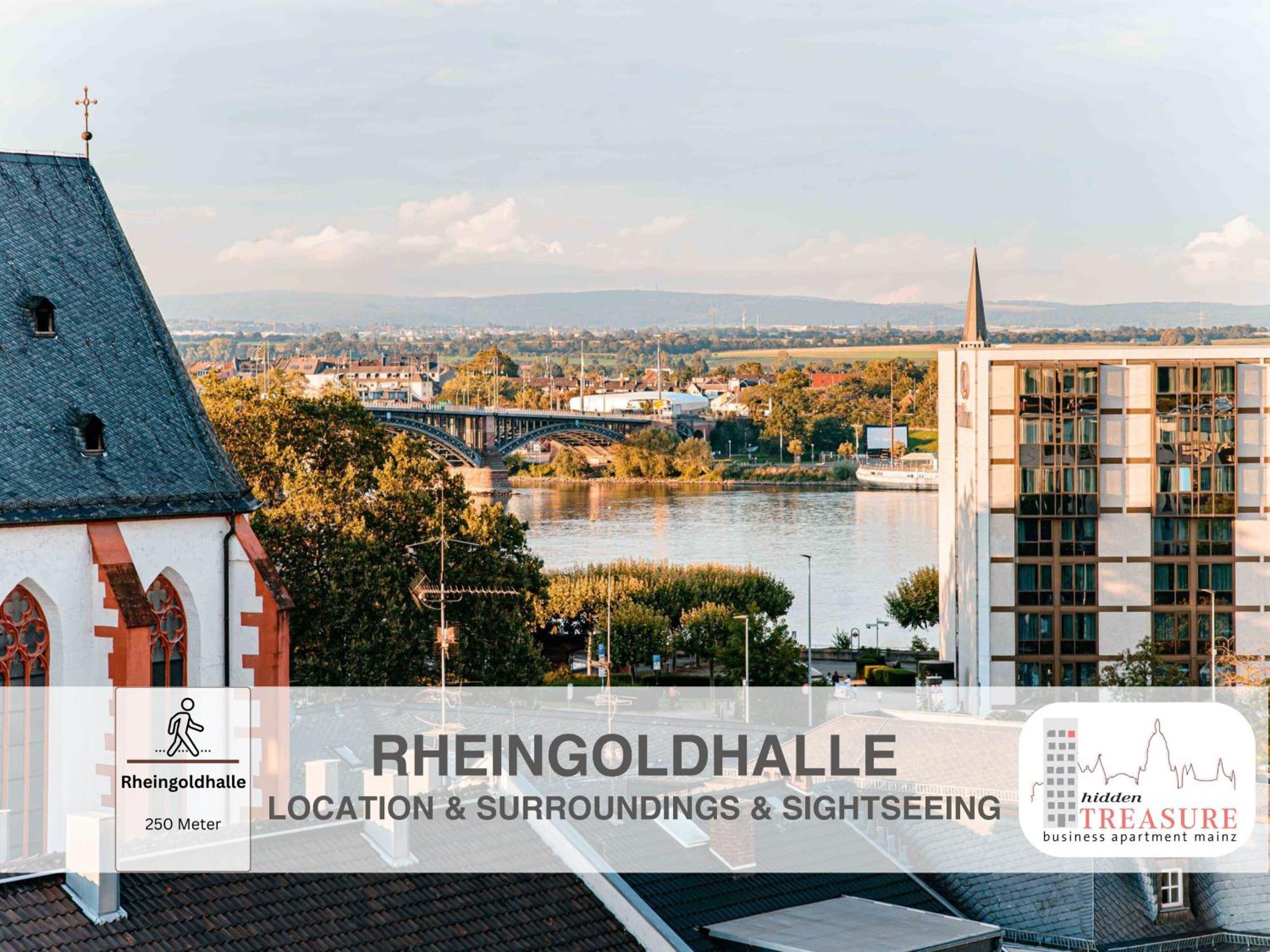 Hidden Treasure Business Apartment Mainz - Fantastic Rhine View In Center Of Mainz Old Town Εξωτερικό φωτογραφία