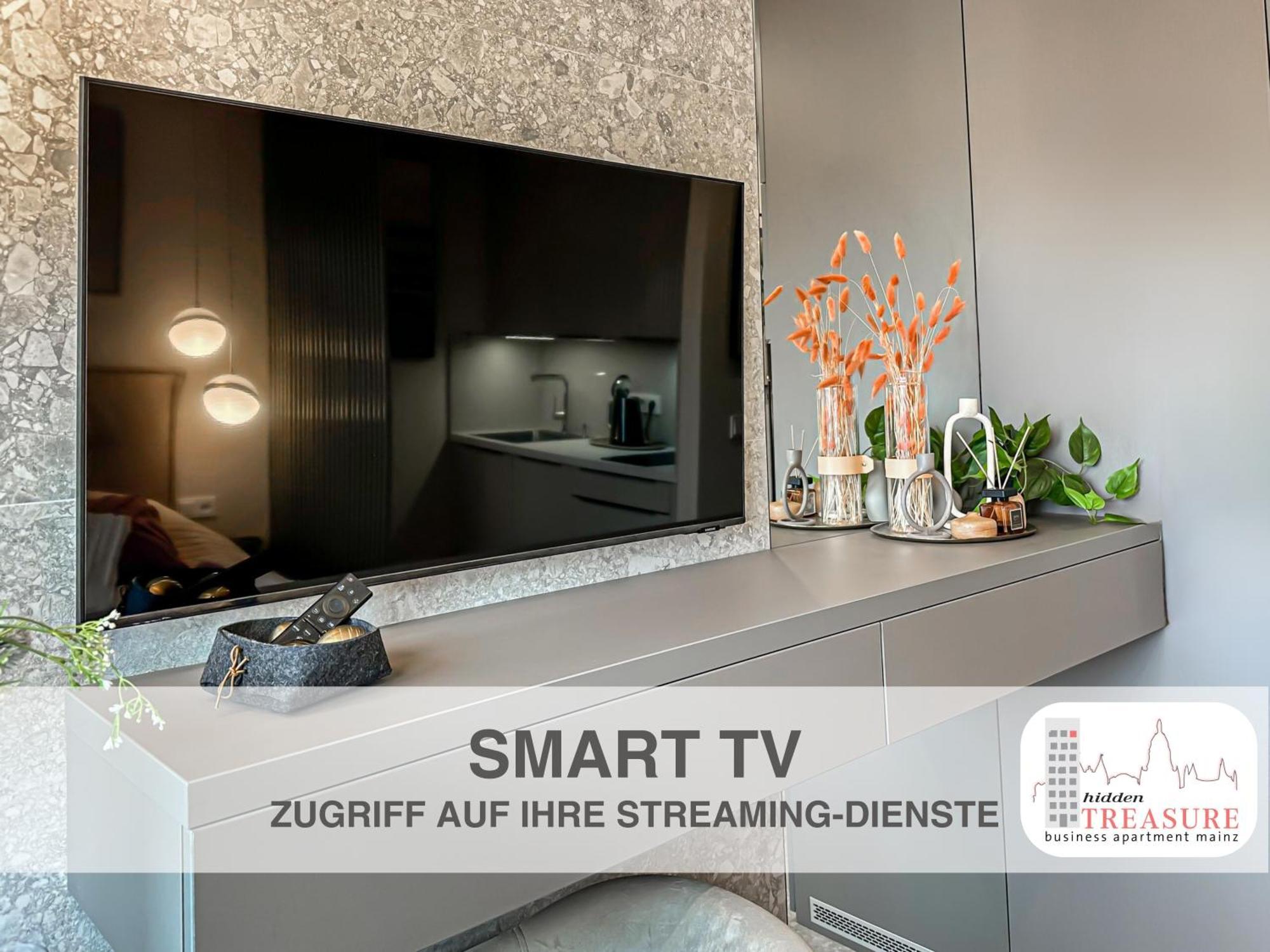 Hidden Treasure Business Apartment Mainz - Fantastic Rhine View In Center Of Mainz Old Town Εξωτερικό φωτογραφία