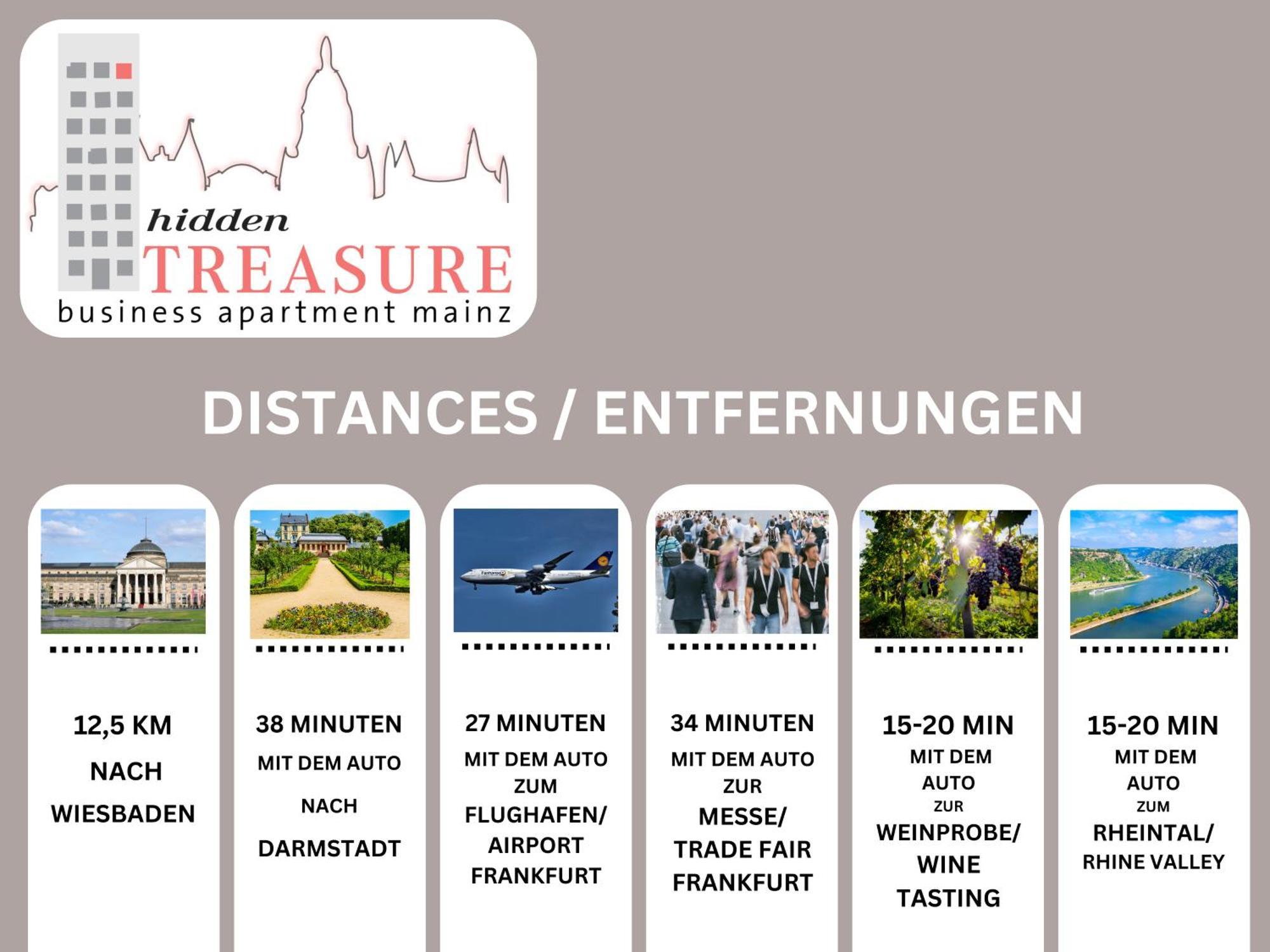 Hidden Treasure Business Apartment Mainz - Fantastic Rhine View In Center Of Mainz Old Town Εξωτερικό φωτογραφία