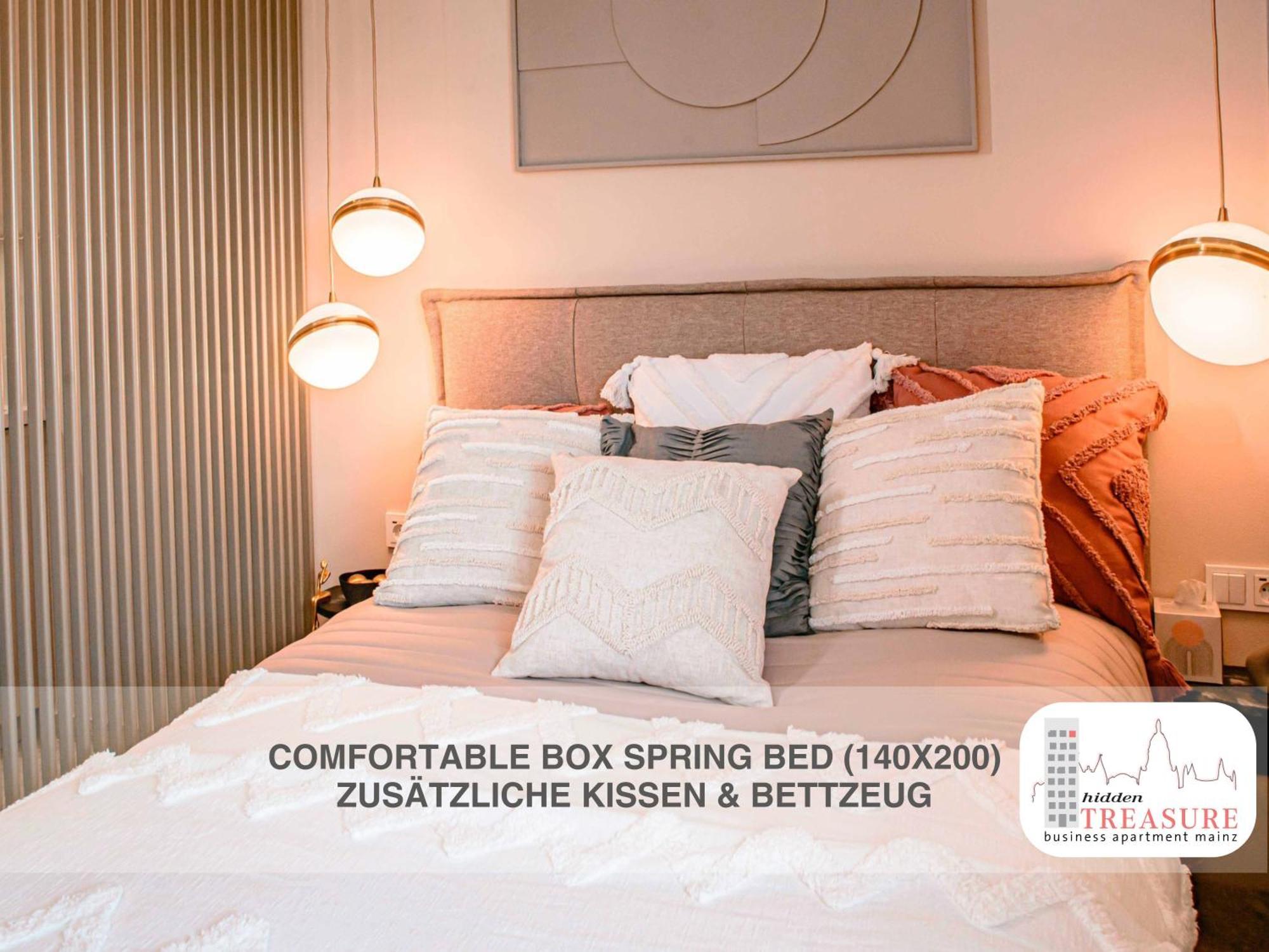 Hidden Treasure Business Apartment Mainz - Fantastic Rhine View In Center Of Mainz Old Town Εξωτερικό φωτογραφία