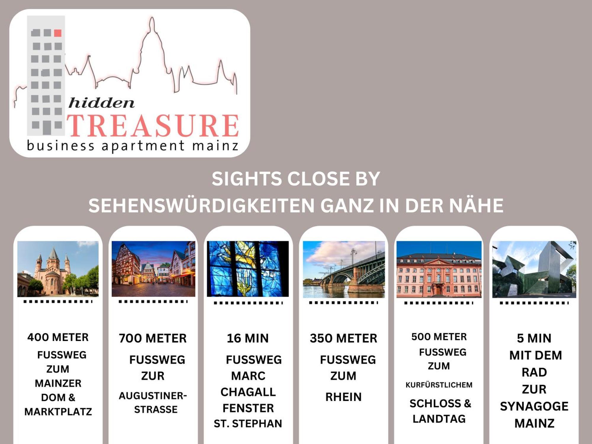 Hidden Treasure Business Apartment Mainz - Fantastic Rhine View In Center Of Mainz Old Town Εξωτερικό φωτογραφία